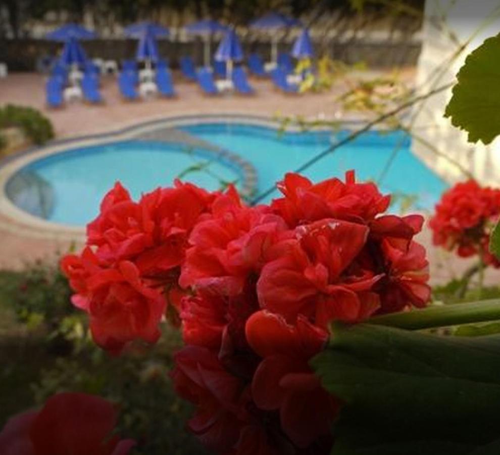 Lili Apartments,Oasis 2,5 Km From Hania Center Parigoria ภายนอก รูปภาพ